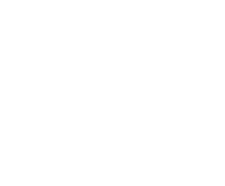 Web Optimization
